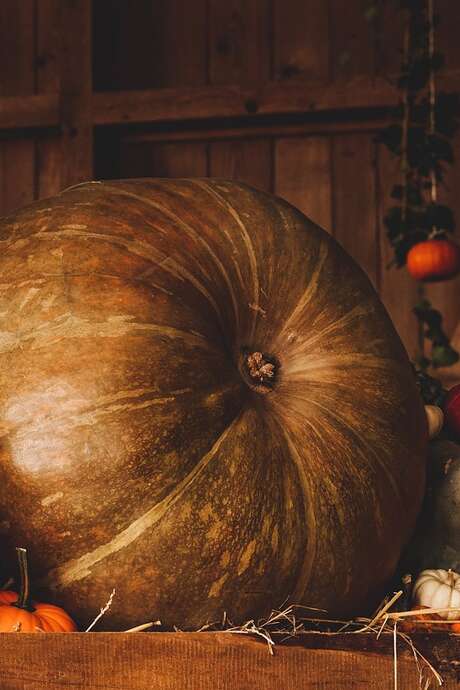 REPAS D'AUTOMNE