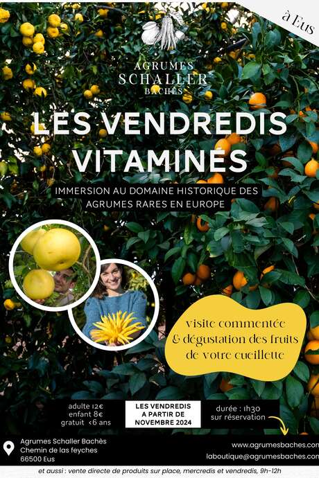 VENDREDIS VITAMINÉS!