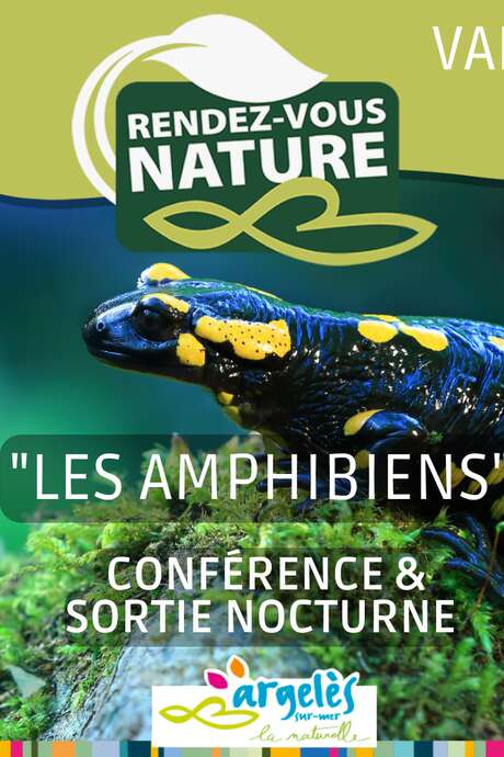 RENDEZ-VOUS NATURE : LES AMPHIBIENS