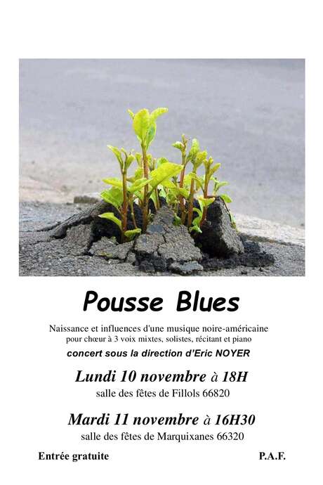 CONCERT DE BLUES