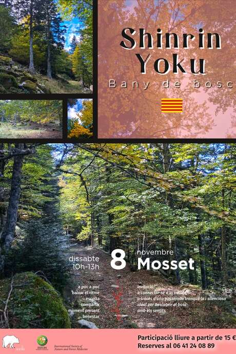 SHIRIN YOKU : BAIN DE FORÊT