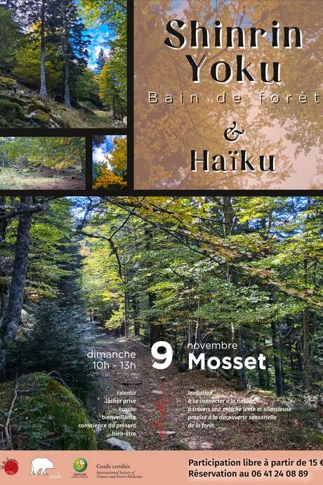 SHIRIN YOKU : BAIN DE FORÊT