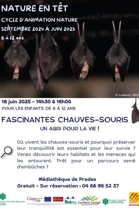 FASCINANTES CHAUVES-SOURIS