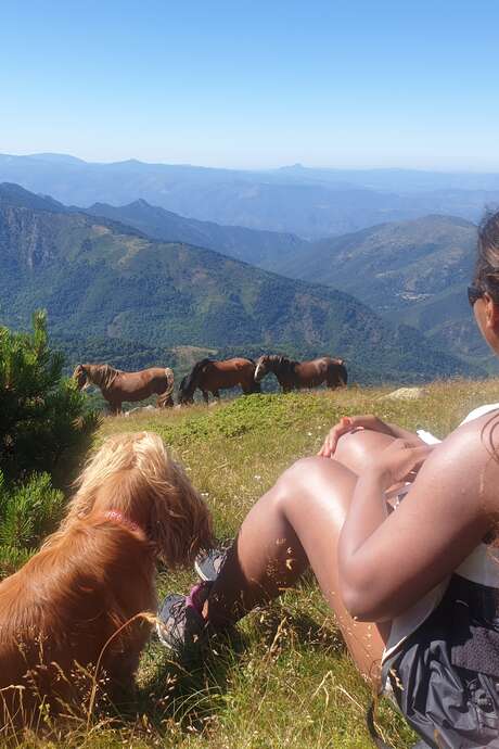 EXCURSION VERS LE CANIGOU EN 4X4 AVEC PASSCANIGO