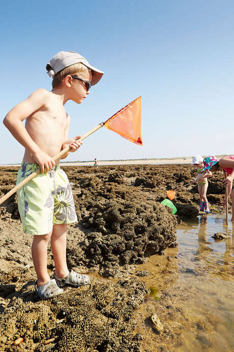 VISITE GUIDÉE PÊCHE À PIED À BRÉTIGNOLLES SUR MER VISITE GUIDÉE PÊCHE À PIED À BRÉTIGNOLLES SUR MER
