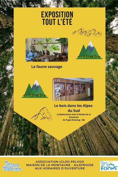 2 expositions : "La Faune Sauvage" et "Le Bois dans les Alpes du Sud"