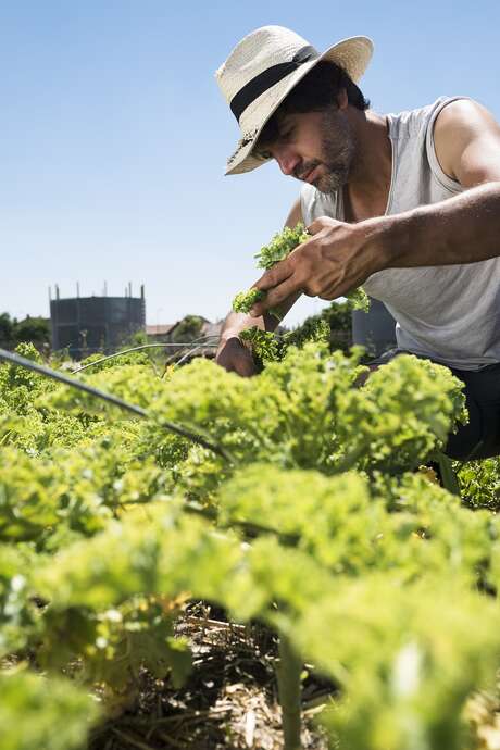 Visites en permaculture de Zone Sensible Visites en permaculture de Zone Sensible