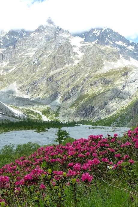 Sortie glaciologie : Le glacier blanc Sortie glaciologie : Le glacier blanc