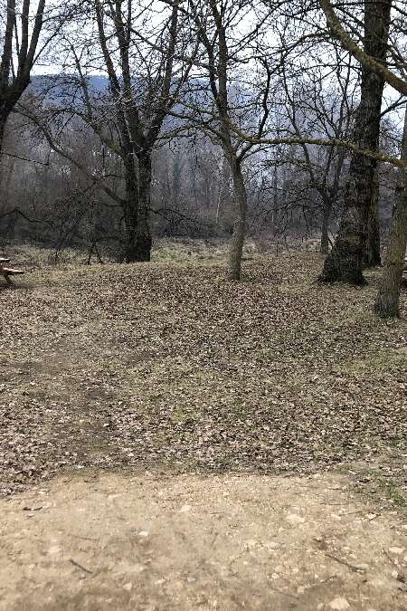 Aire de pique-nique de La Dourbie