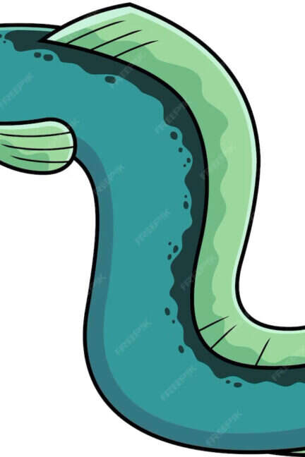 Spectacle : Camille l'Anguille