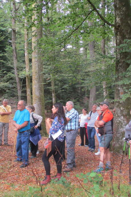 Promenade guidee et commentee au maquis de grandrupt-de-bains
