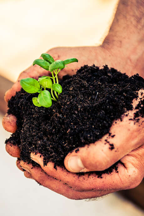 COMPOSTAGE ET JARDINAGE AU NATUREL COMPOSTAGE ET JARDINAGE AU NATUREL