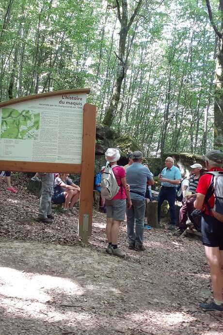 Dans les pas des maquisards de grandrupt-de-bains - promenade guidee et commentee