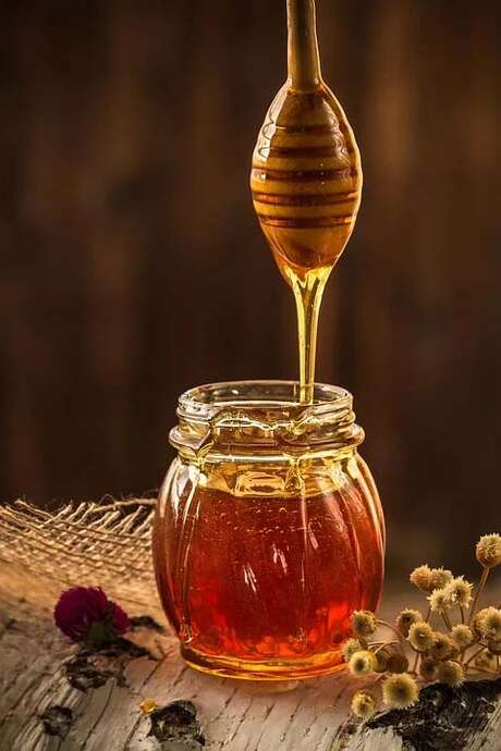 VISITE DE LA FLEUR AU POT - LE CHEMIN DU MIEL.