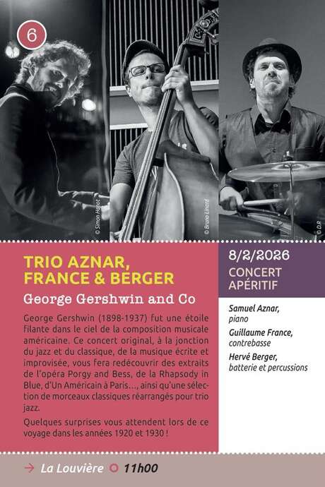 Concerts classiques Epinal - Trio Aznar, France & Berger