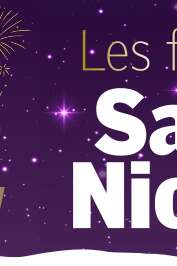 CIRCULATION BUS - RETOUR DEFILE SAINT-NICOLAS EPINAL