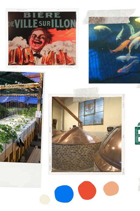 Excursion visite de l’écomusée de la brasserie de ville /illon et de la ferme aquaponique de l’abbay