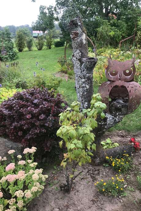 Vide jardin à la granges aux chouettes