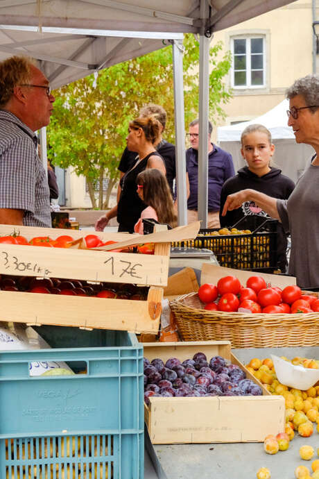 Les merveilleuses estivales a fontenoy le château