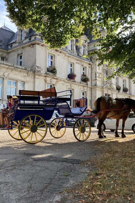 Balade attelée en calèche