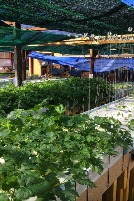 Visite de la ferme aquaponique de l'Abbaye