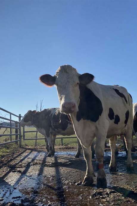 VISITE DE LA FERME DU RUISSEAU DES ÉCREVISSES