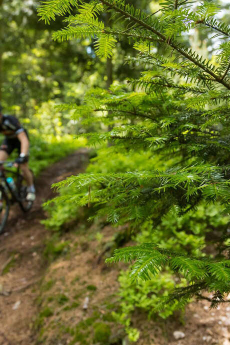 Manifestation cycliste "La Téméraire des Vosges"