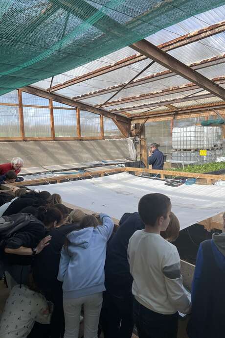Journée culturium à la ferme aquaponique