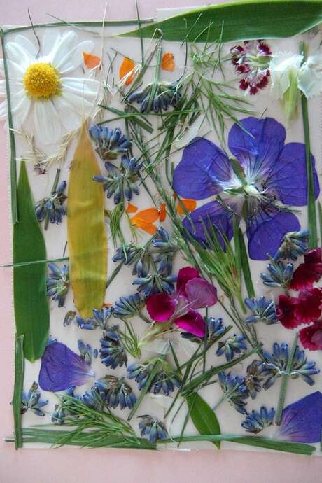 Atelier impression végétale