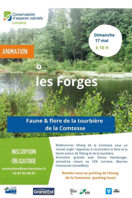 Visite guidée - Faune et Flore de la tourbière de la Comtesse