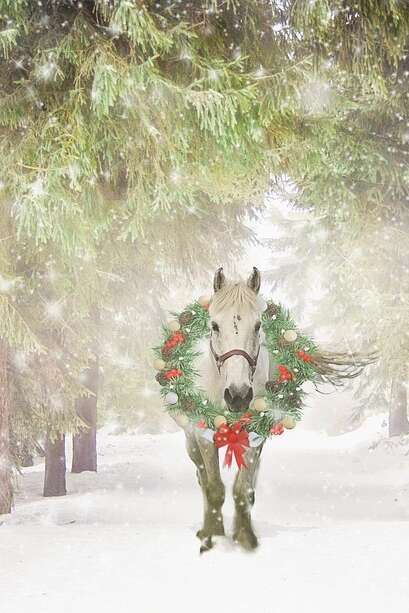 Un conte de noël - Le premier Noël de Pepsi