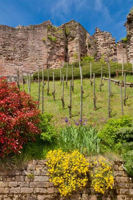 Visite guidée  -le château d'Epinal