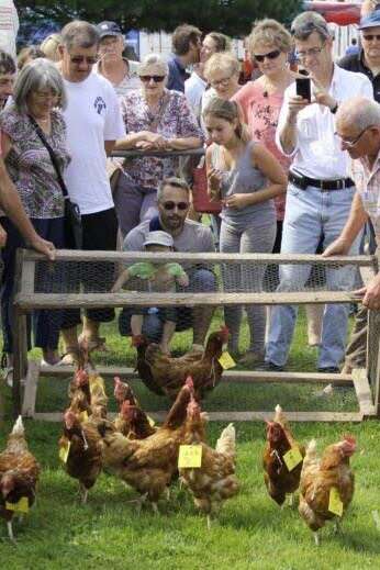 Egg party