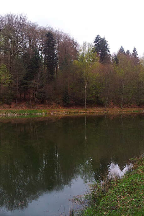 Fête de l'eau (copie)