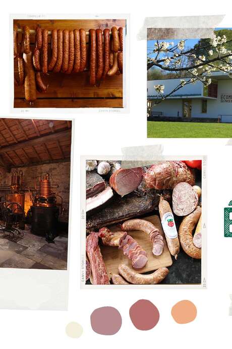 Excursion au pays de la cerise