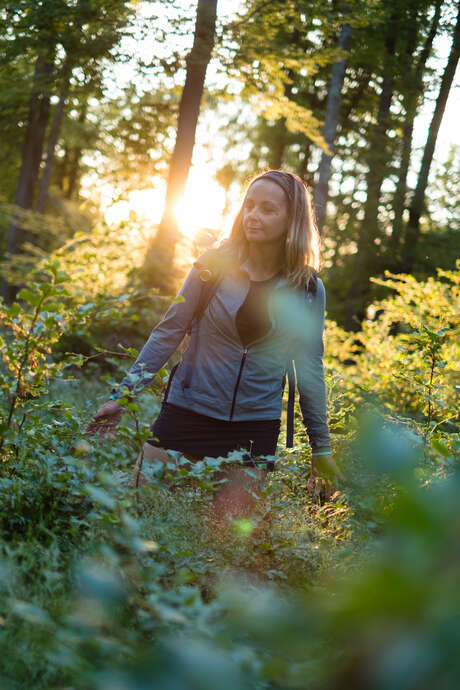 Balade et goûter en forêt autour de La Vôge