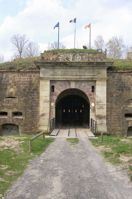 Visite guidée de la batterie de Sanchey