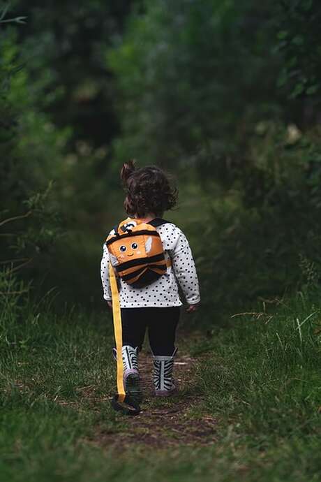 Sortie nature : aventuriers des bois