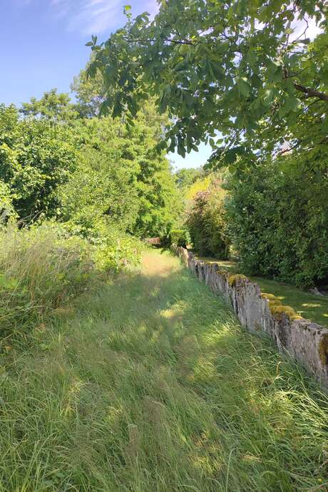 Visite guidée « LES REMARQUABLES : UN AUTRE REGARD »