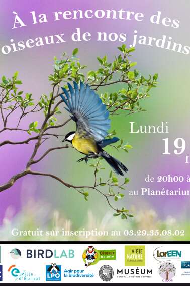 Conférence: À la rencontre des oiseaux de nos jardins