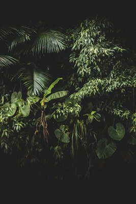 Exposition collective - Four Ways