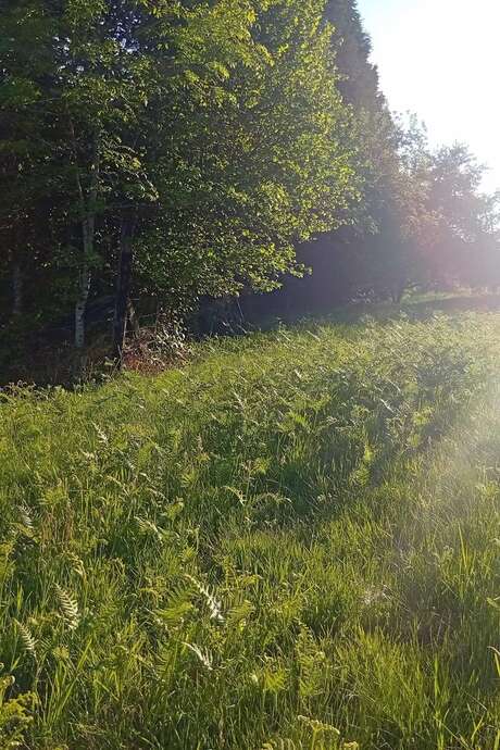 célébration du solstice d'été- soirée autour du feu et des tambours