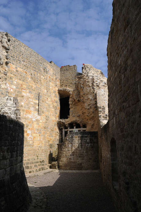 Visites aux torches 2025