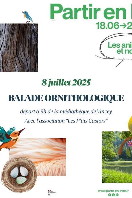 Balade ornithologique