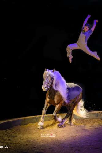 Épinal bouge l'été - Spectacle de carton et de coeur