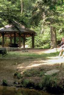 Bains de Forêt Sortie Sylvothérapie