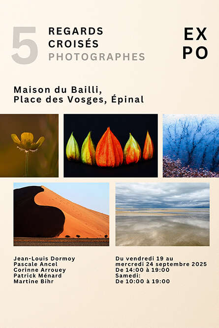 Exposition : 5 regards croisés de photographes