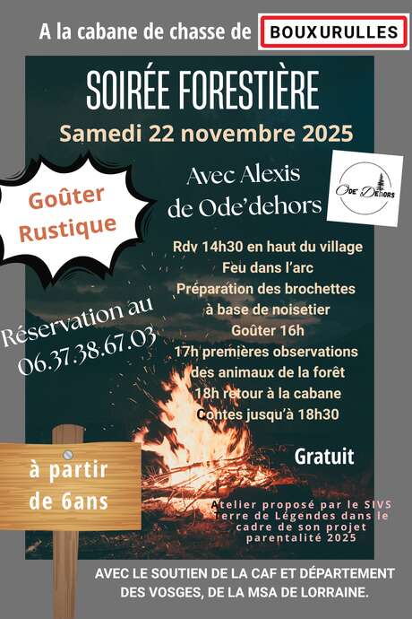Soirée forestière