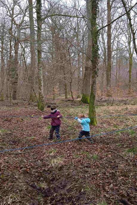 Journée de la forêt