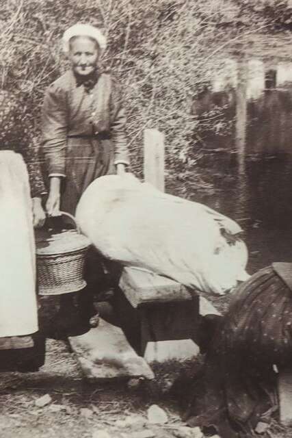 Conférence : être une femme vosgienne pendant la Grande guerre
